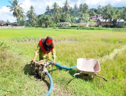 Petani Tanah Datar Atasi Kekeringan dengan Pompa Air