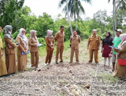 Kementan Dorong Pengembangan Sektor Pertanian Kota Pariaman