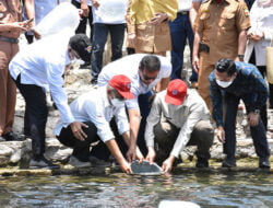 Semen Padang Tebar 4.000 Bibit Ikan Bilih