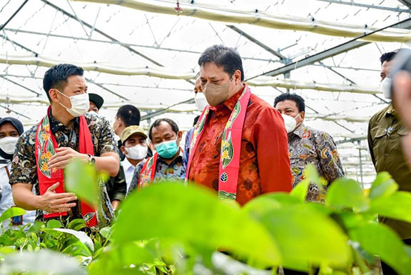 Reforestrasi Dorong Pertumbuhan Green Economy