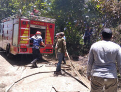 Karhutla Melanda Nagari Padang Tarok