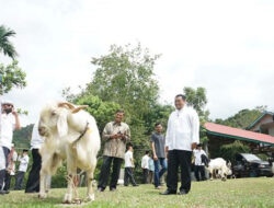 Tanah Datar Bikin Program Berkantor di Nagari
