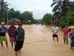 Banjir Rendam Puluhan Rumah di Sijunjung