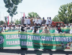 Pemerintah Didesak Sikapi Penurunan Harga Sawit