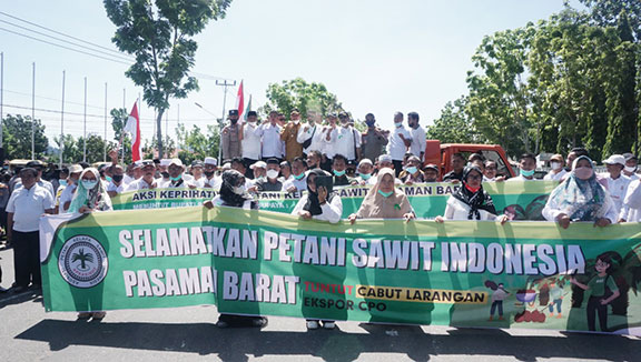 pemerintah