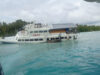 kaimana