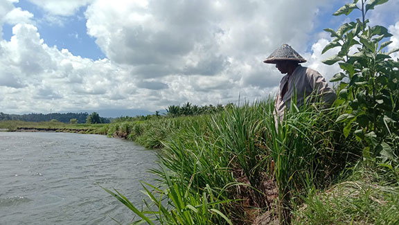 Nasib Petani di Bawah Ancaman Abrasi 
