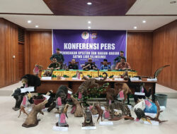 Praktik Pengawetan Satwa Dilindungi Dibongkar Aparat