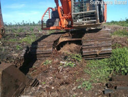 Alat Berat Geruduk Tujuh Titik Dikawasan Hutan HPK Secara Illegal