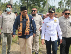 Wamentan Bahas Pengendalian OPT Jesigo dan Tanam Jagung