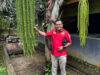 Anggota