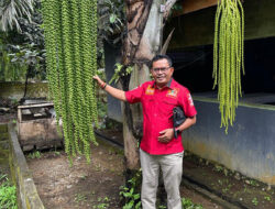 Anggota Komisi II DPRD Sumbar Beri Bantuan Bibit