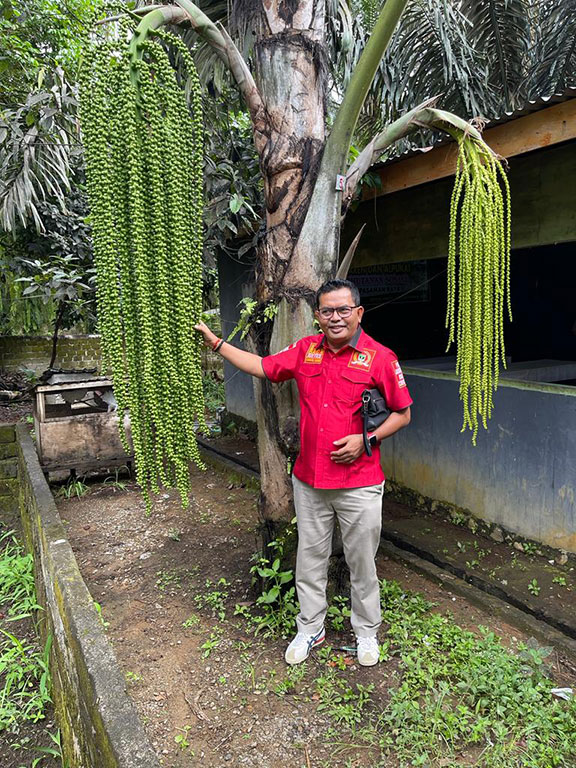 Anggota
