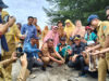 dkp