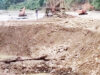Pasaman