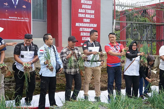 bawang