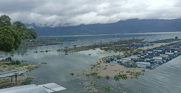 402 Ton Ikan Mati di Keramba Danau Maninjau