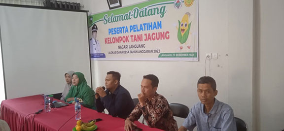 Wali Nagari Languang Gelar Pelatihan Petani Jagung Agar Capai Hasil Maksimal