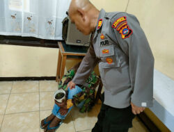 Pelaku Pencurian Tanam Ganja
