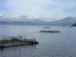 DKP Sumbar Larang Penangkapan Ikan Bilih