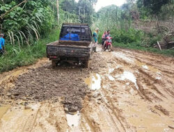 Jalan di Nagari Galugua Rusak Parah