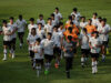 Timnas