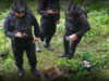 Granat