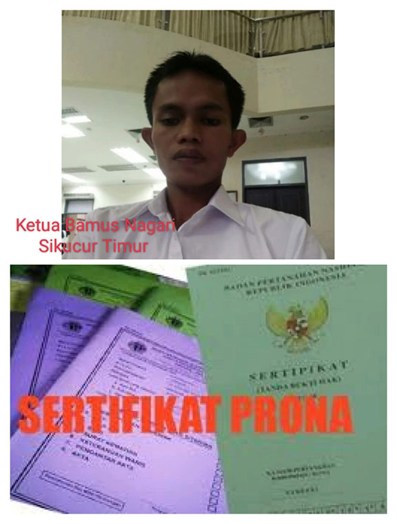 Sertifikat