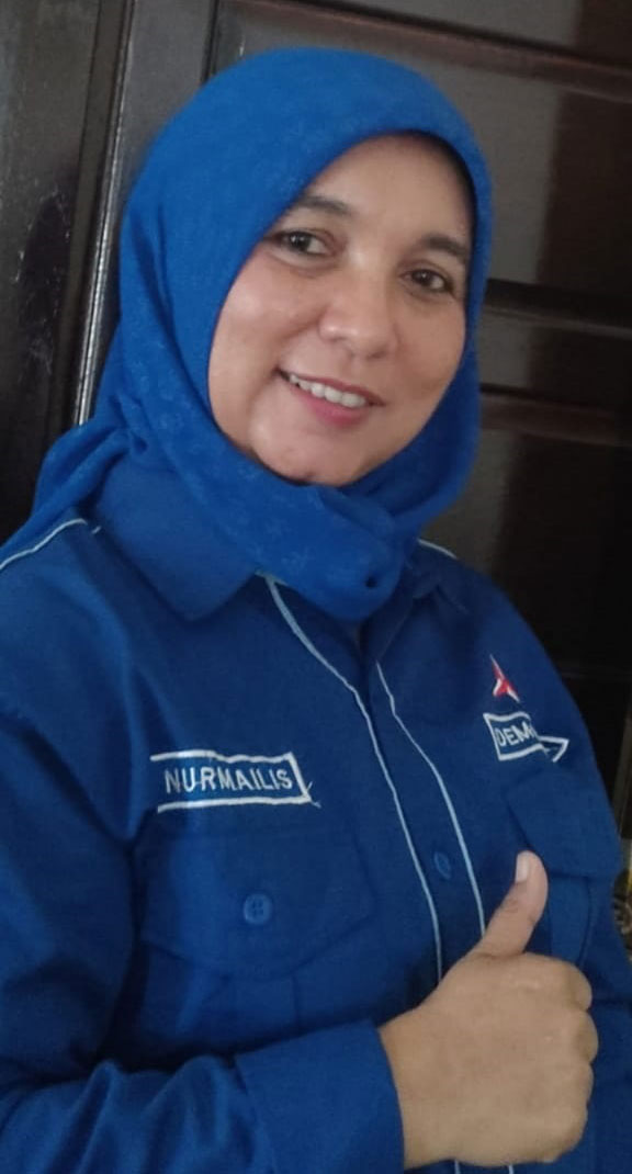 Nurmailis