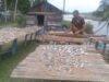 Garam