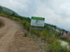 Tambang