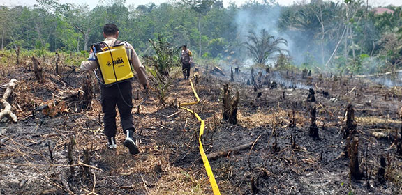 Lahan Sawit di Dharmasraya Kembali Terbakar