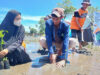 Mangrove