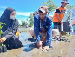Aksi Peduli Lingkungan Tanam Mangrove di Nagari Ulakan