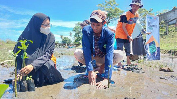 Mangrove