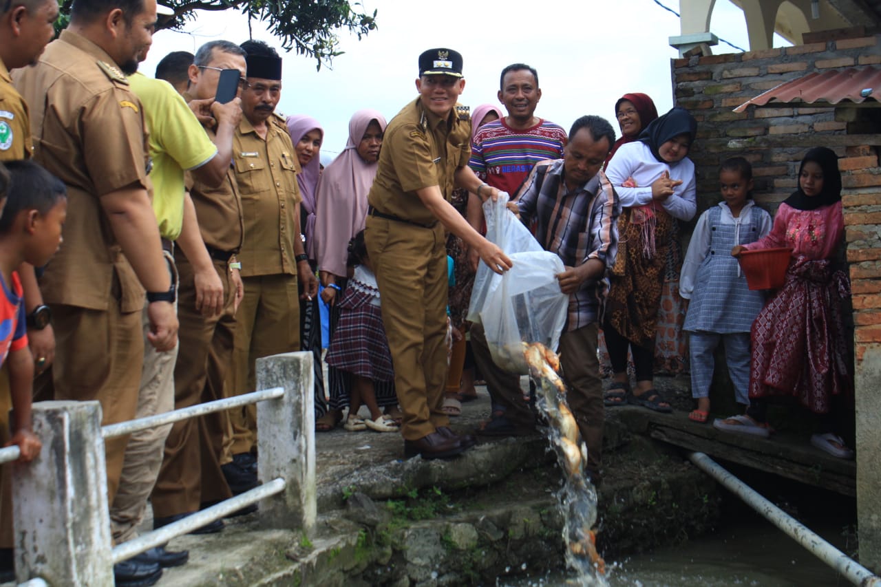 Bupati