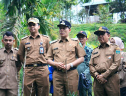 Pasca Banjir, Bupati Sabar AS Lakukan Penanaman Pohon