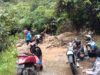 Palupuah