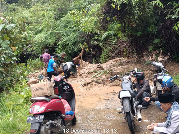 Palupuah