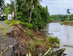 8 Nagari Dilanda Banjir dan Longsor