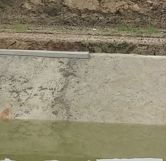 Pasaman