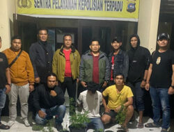Kasus Narkoba, Polisi Sita 23 Batang Ganja