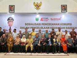 Sosialisasi Inspektorat Mengawasi Titik Rawan Korupsi Keuangan Daerah