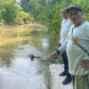 Ikan