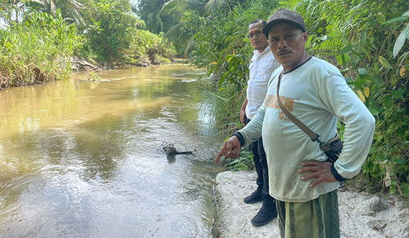 Ikan