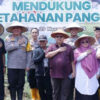 Pangan