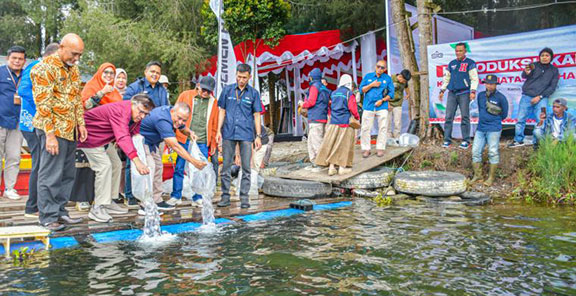PT Semen Padang Lepaskan 1.500 Ekor Ikan Bilih di Danau Diatas