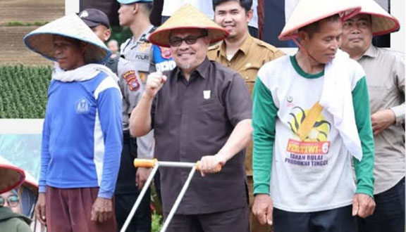 Jagung