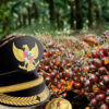 Hukum
