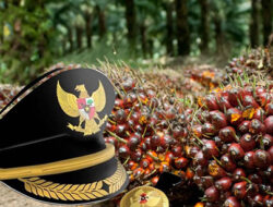 Lemahnya Penegakan Hukum dalam Kasus Dugaan Korupsi Lahan Hutan Negara di Solok Selatan